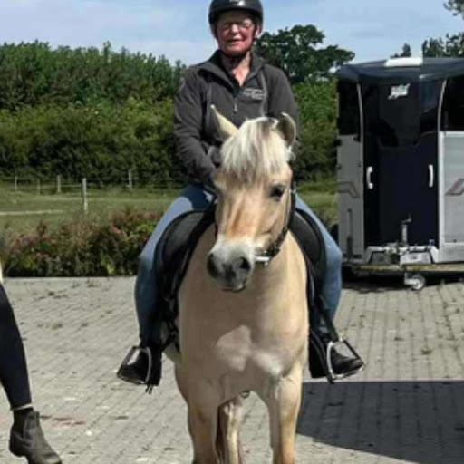 Anni på sin fjordhest