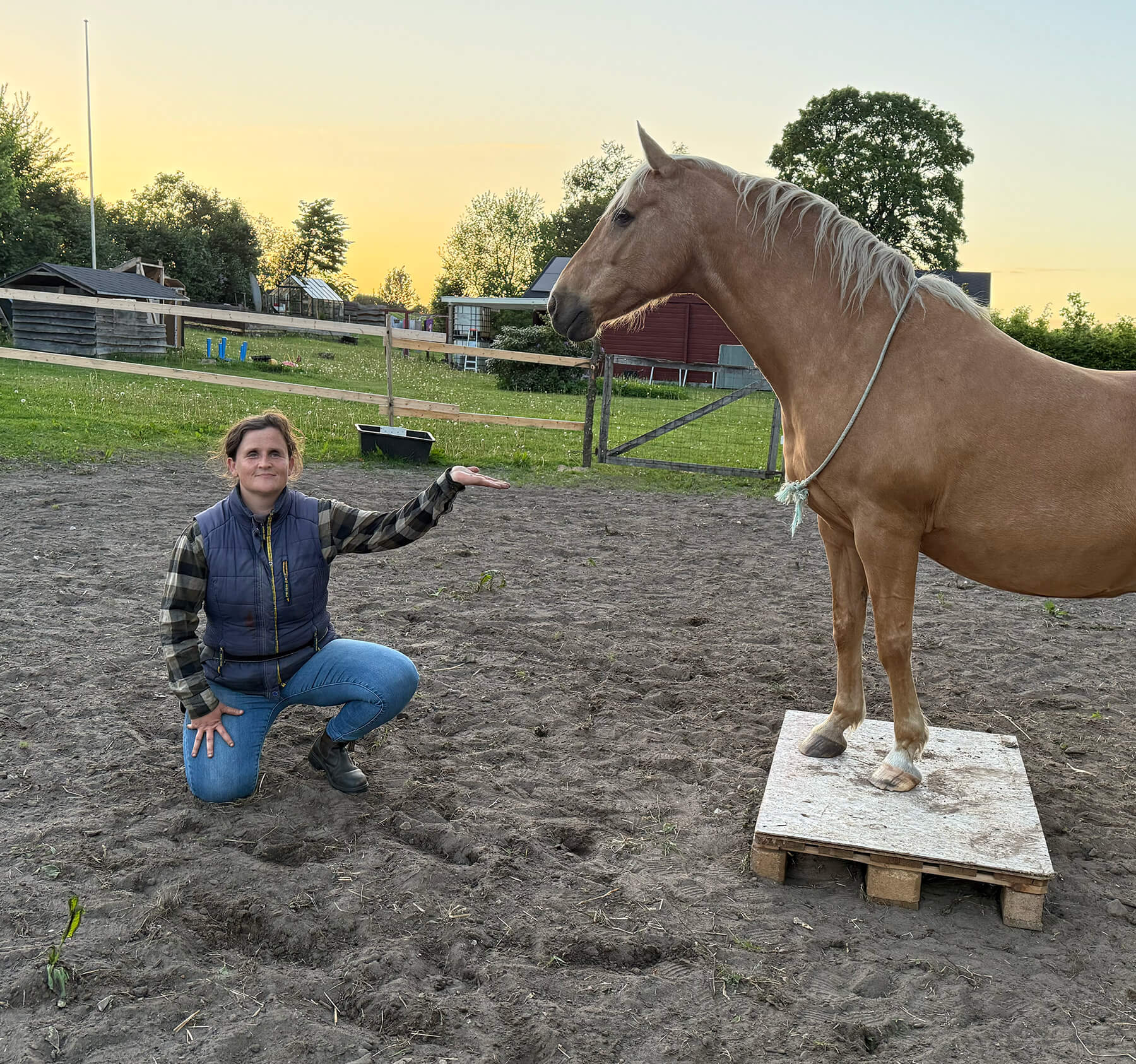 Ann-Sofie sammen med sin hest på folden