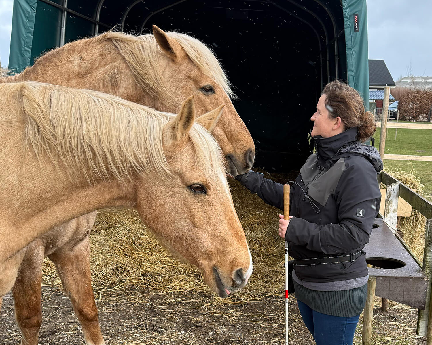 Ann-Sofie med en hest